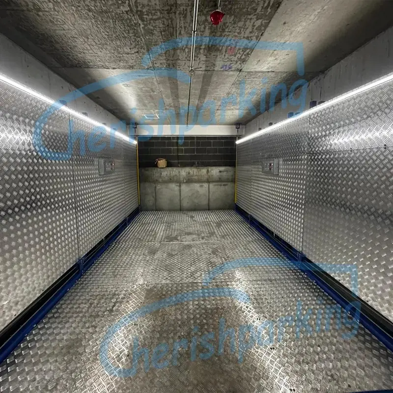Customized Double Rail Car Elevator Installed In Australia